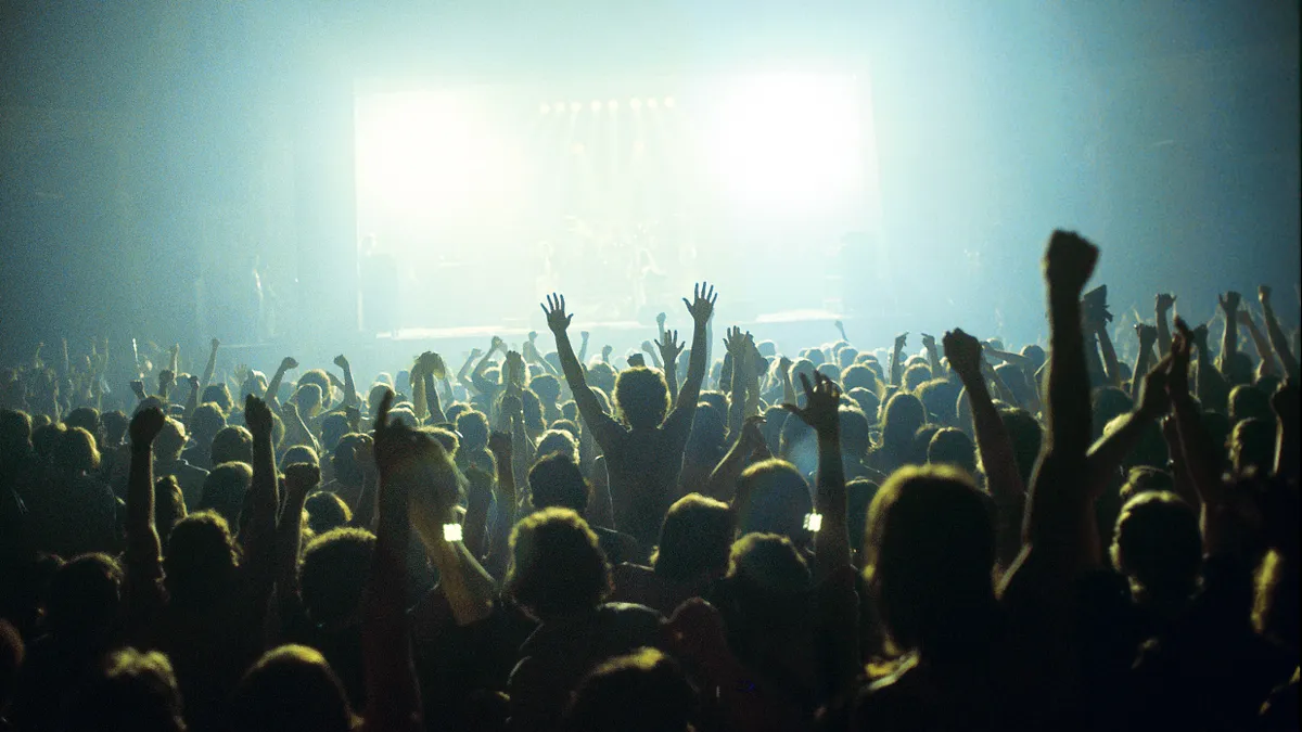 Audience cheers during concert