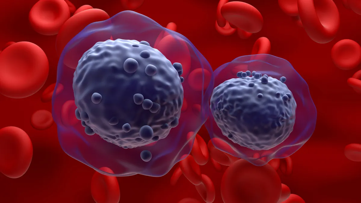 Two cancerous cells flow through a blood vessel in this stylized illustration