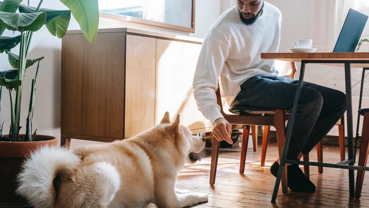 A person feeds their dog as they work from home