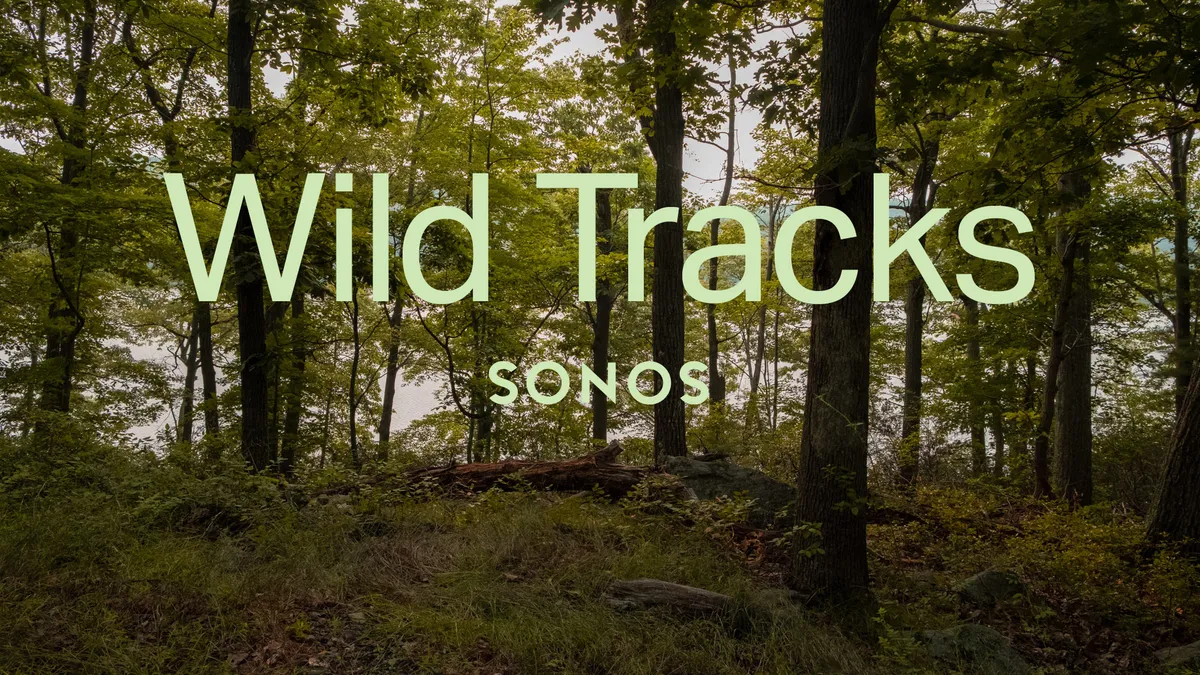 Sonos' Wild Tracks ad campaign