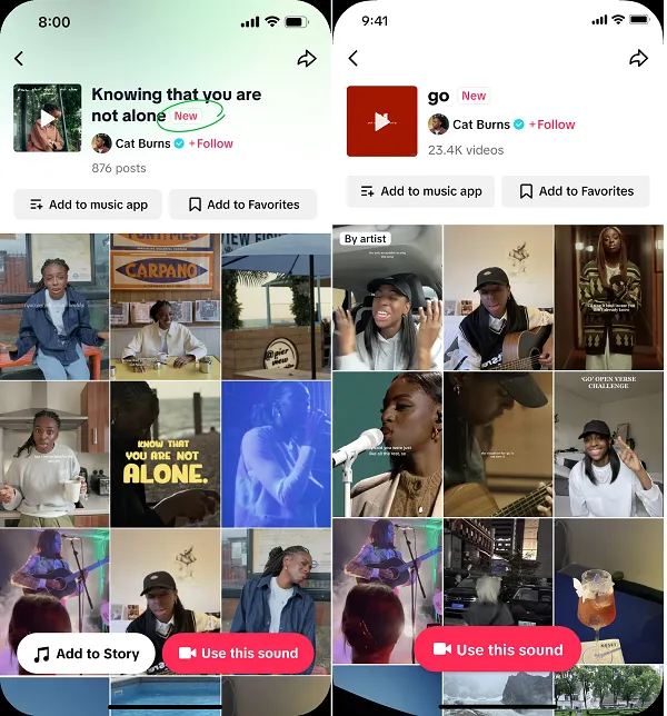 TikTok artist account