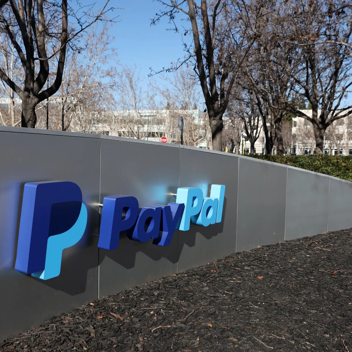 PayPal CEO'sü Şirketin Birliğini Koruma Hedefinde