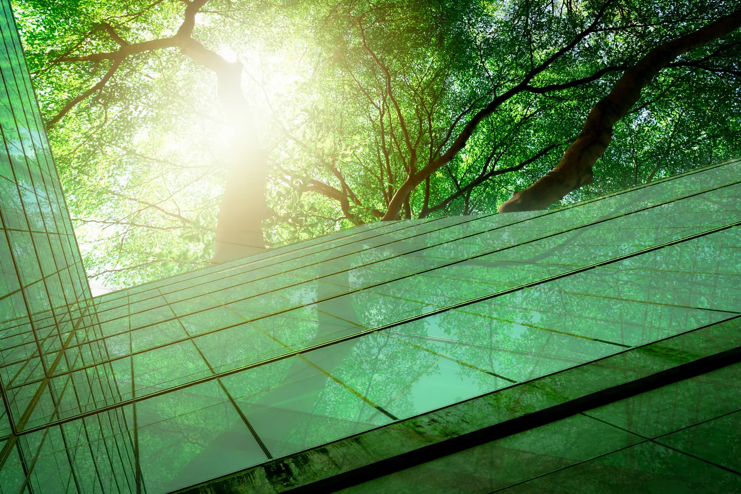 Sustainable glass office building with trees for reducing carbon dioxide.