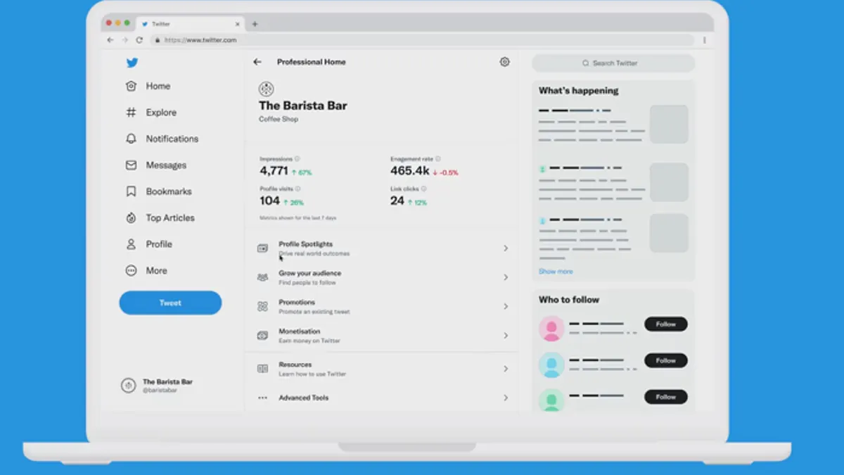 Twitter Professional Account dashboard
