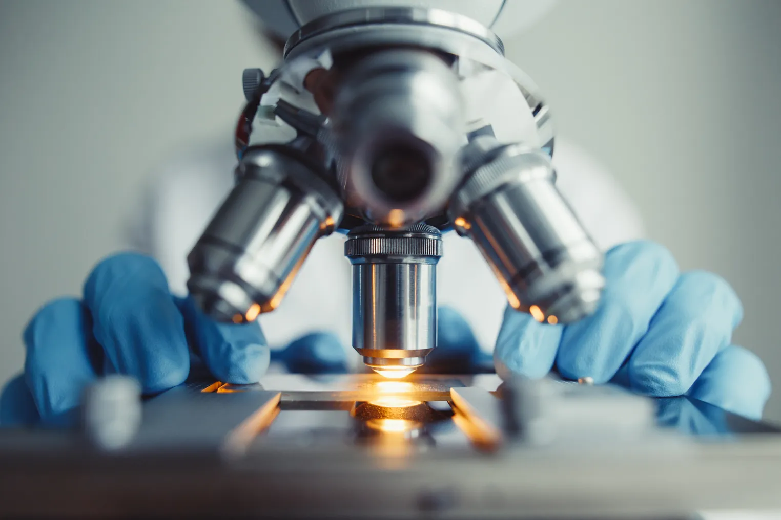 Close-up of a person with blue latex gloves arranging a glass plate in a microscope