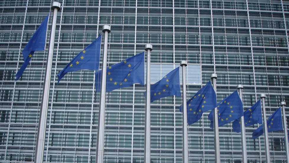 European Union flags are pictured outside the European Commission building on October 24, 2014 in Brussels, Belgium.