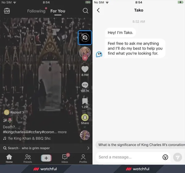 TikTok Tako AI chatbot