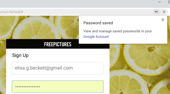 A screenshot of Google Chrome's password generator update