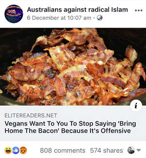 Facebook false news example