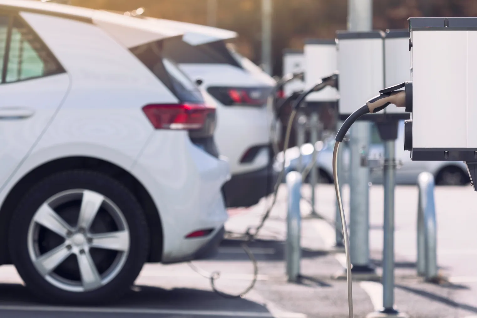 Several white cars are seen plugged into a line of electric vehicle chargers.