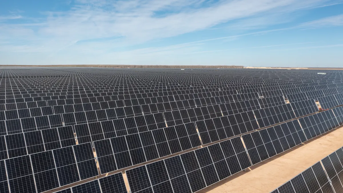 Long rows of solar panels under a bright blue sky.