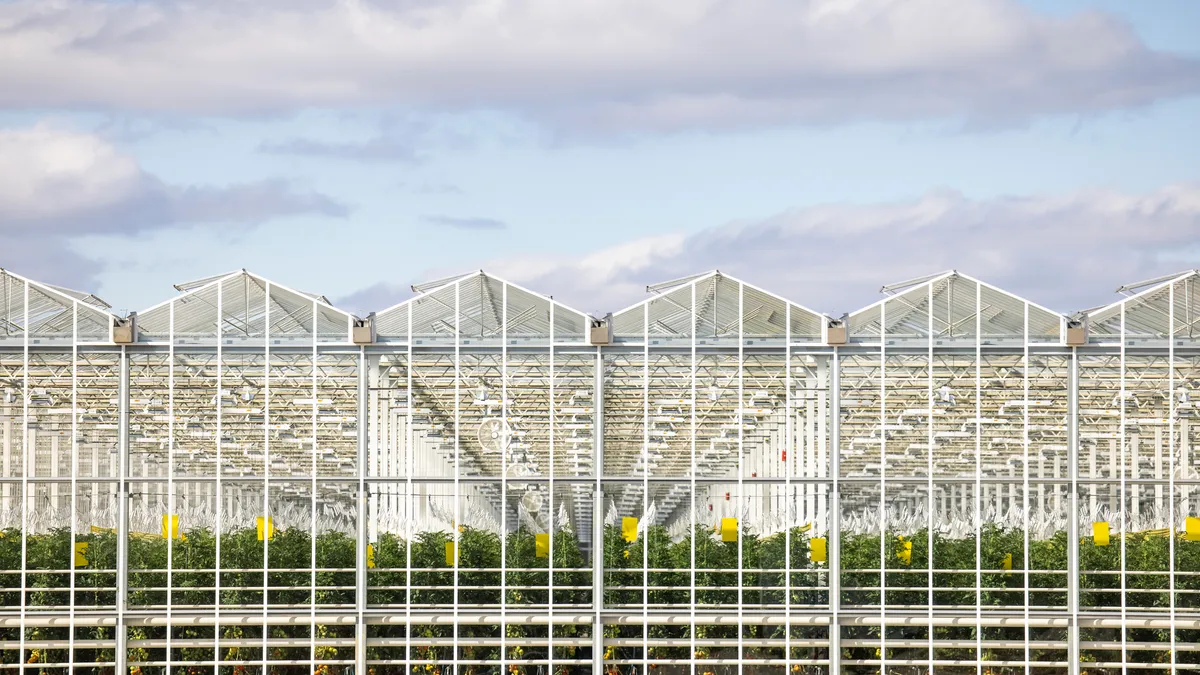 Glass greenhouse-type building is seen from the outside. Tomato plants grow inside.