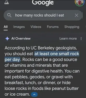 Google AI answer