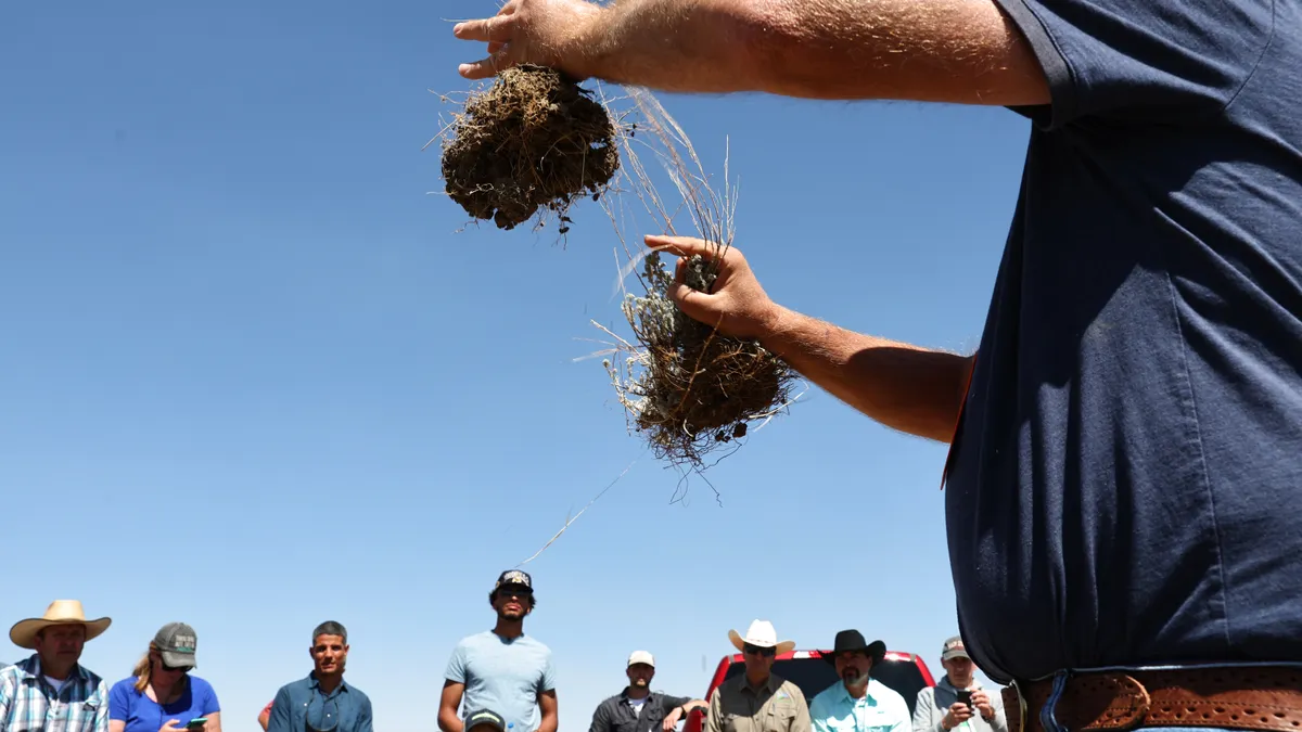 Farmer holds up two seedlings with root systems attached as a crowd looks on