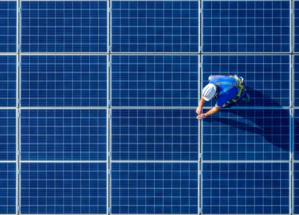 Resetting net zero: What next?