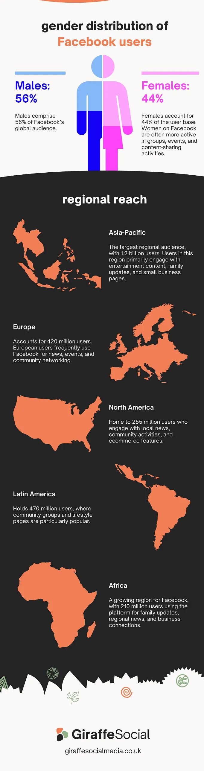 Facebook demographics infographic