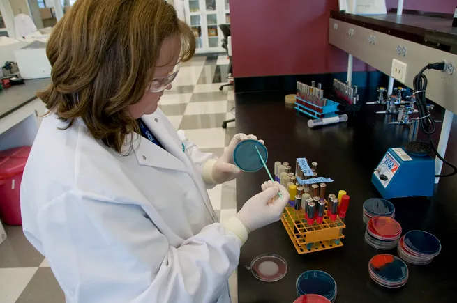 LabCorp lowers 2018 diagnostics arm growth guidance | MedTech Dive