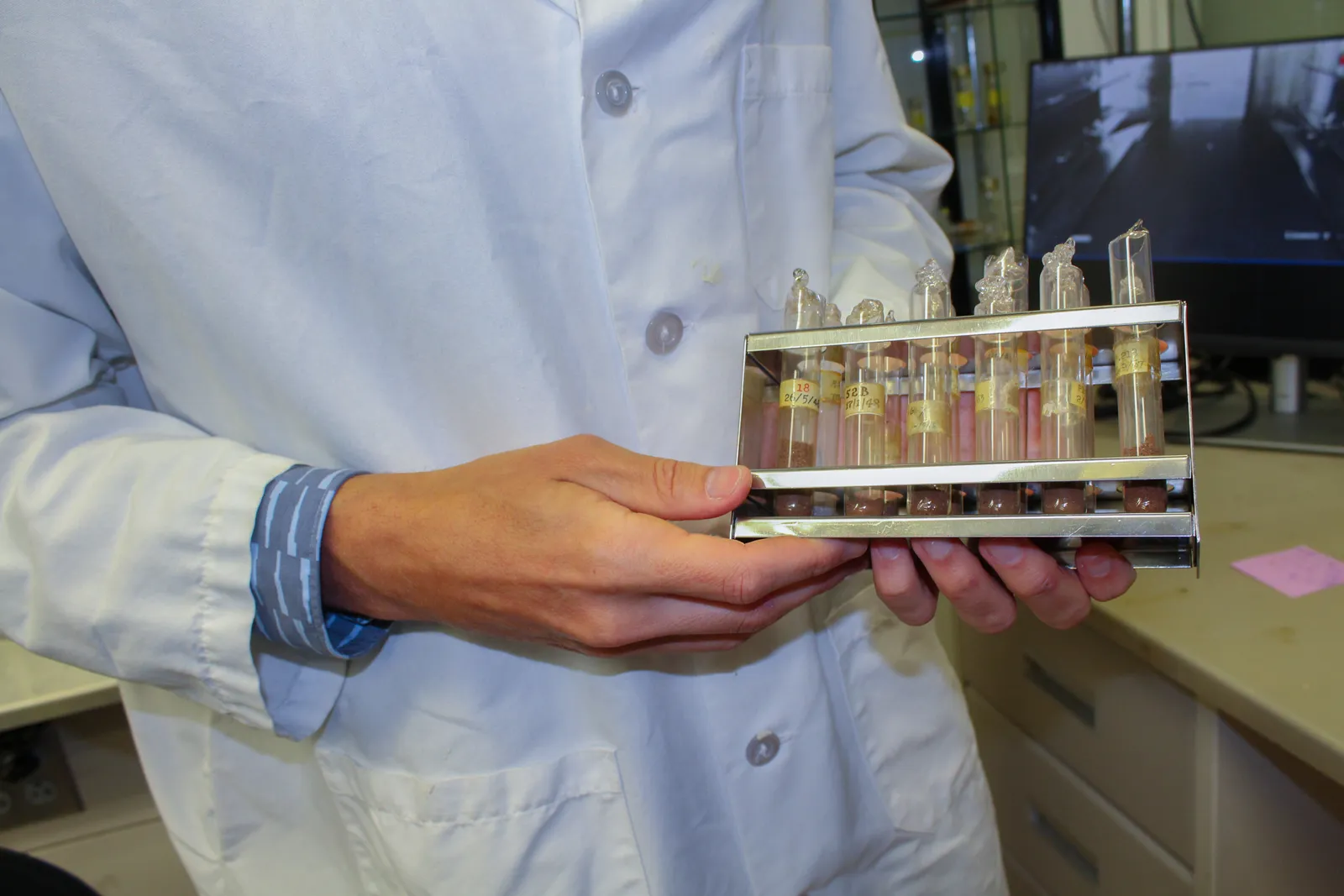 A person holds a case with six test tubes containing matter at the bottom.