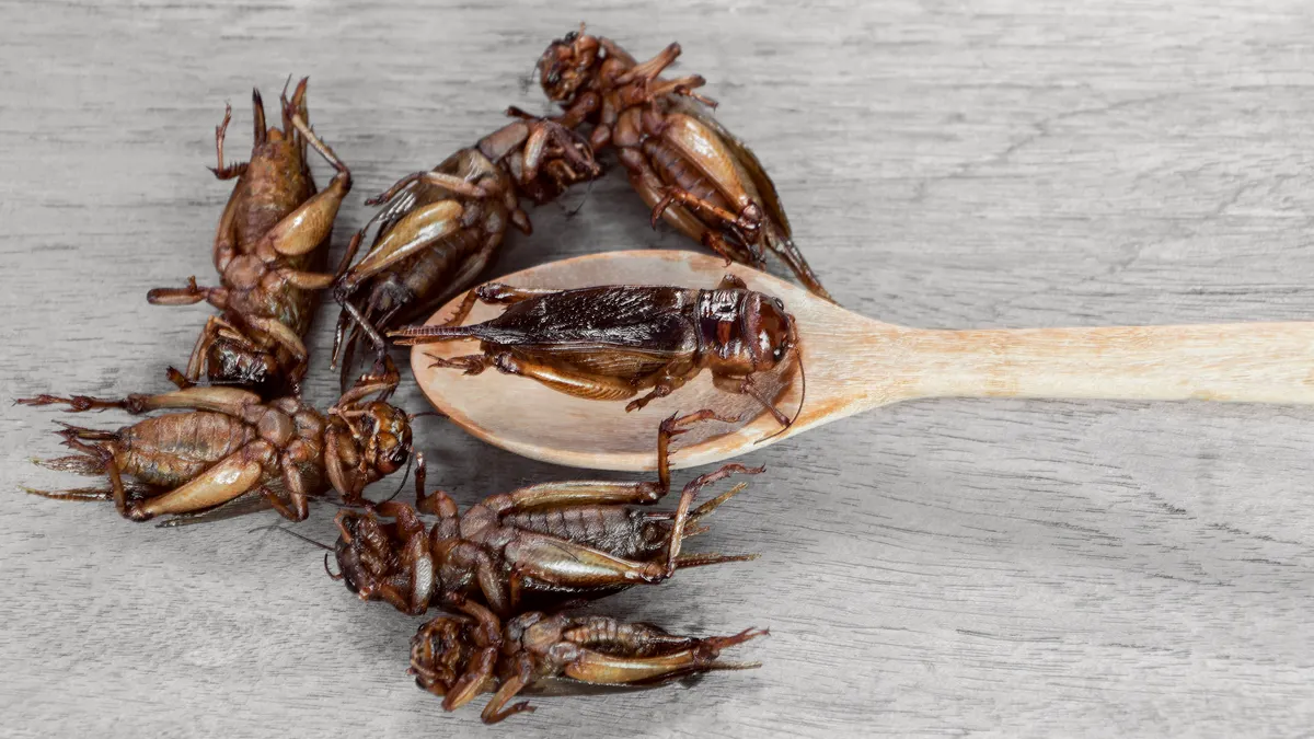 Crickets