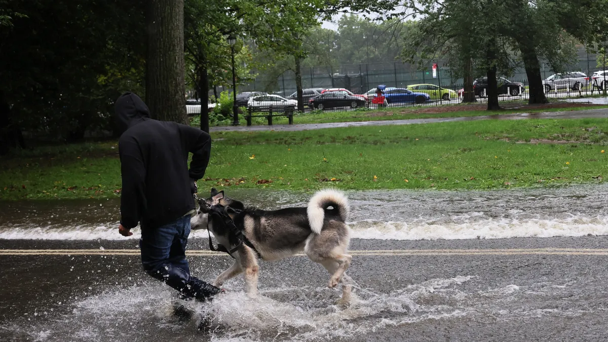 A person walks a dog through floodwaters along a park path.