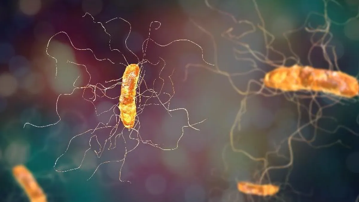 Close up of orange micro-organisms, C. difficile infection