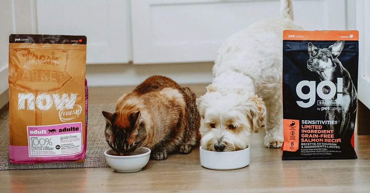 A dog and a cat eating from bowls next to bags of Petcurean pet food