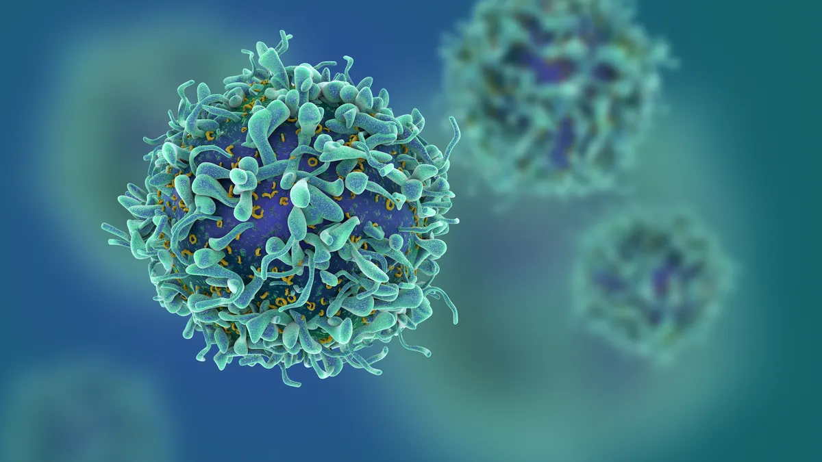 Computer rendering of an immune T cell