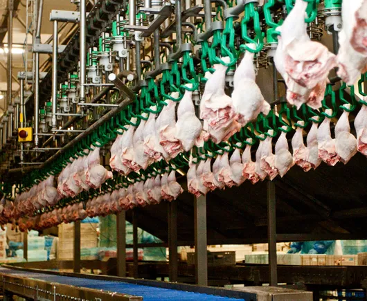 Trump admin looks to permanently increase meat processing line speeds