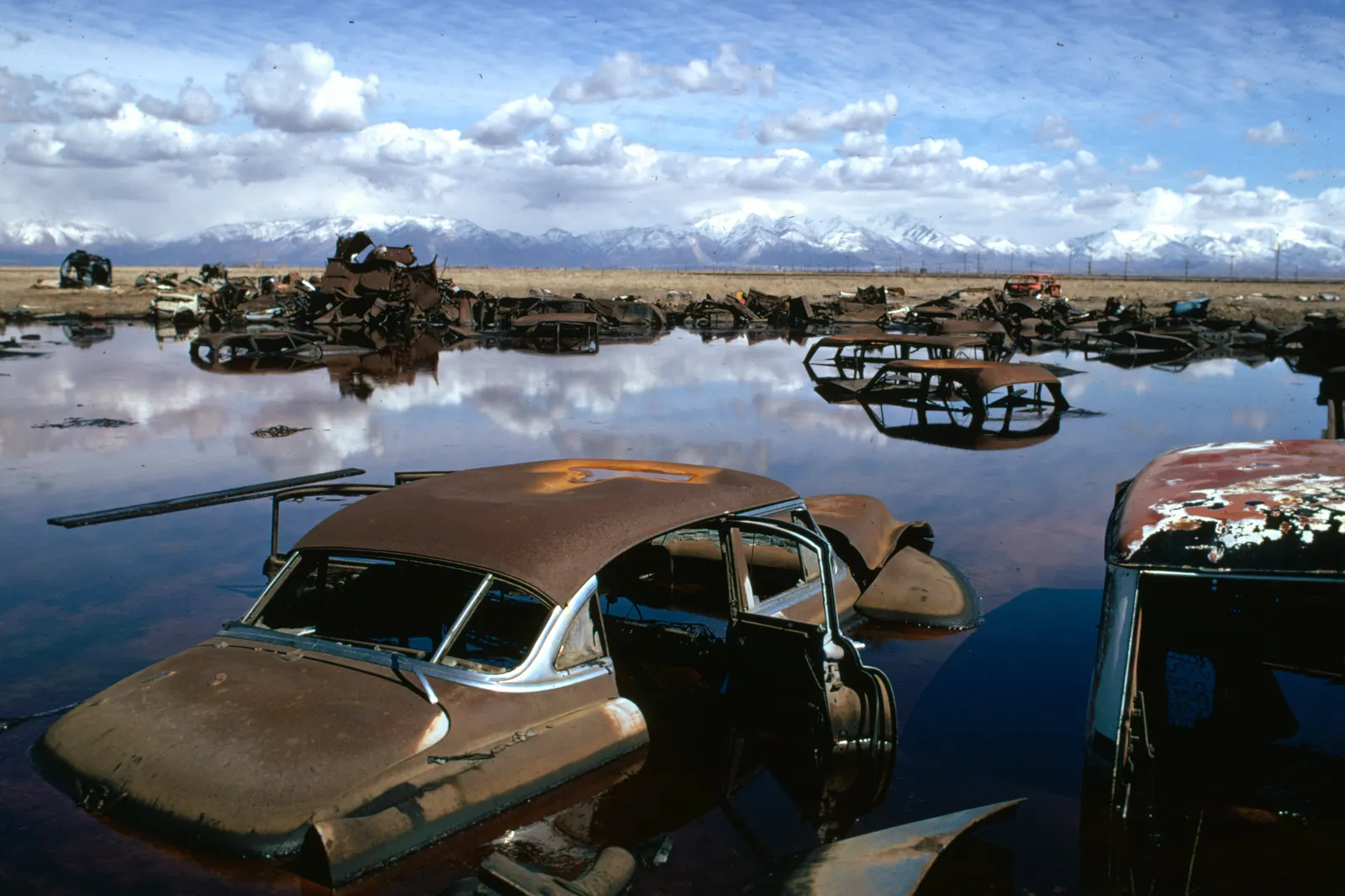 Many abandoned cars in a waterway, underneath a blue sky