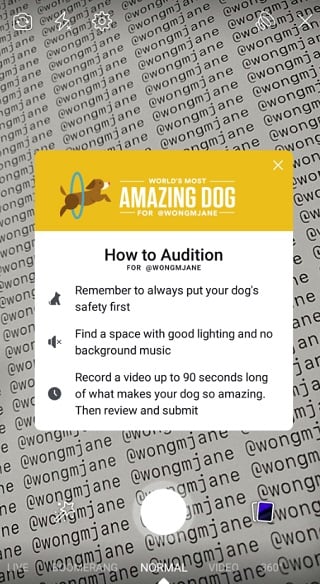 A screenshot of Facebook's dog show entry form