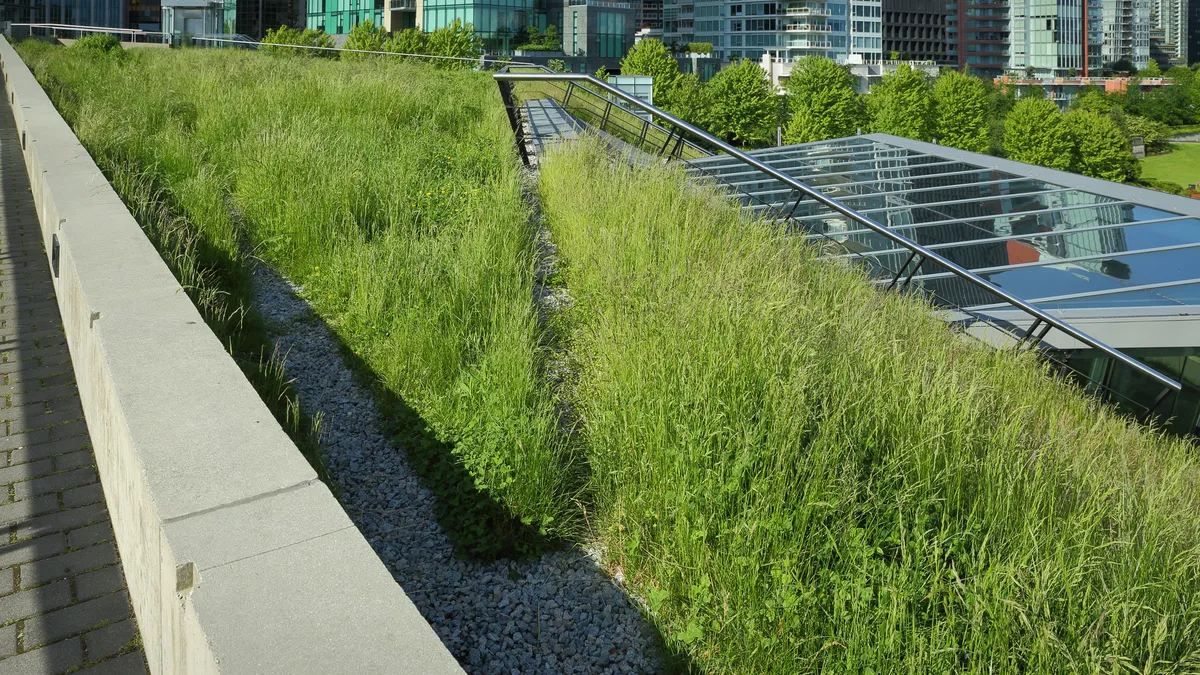 Grass on a rooftop.