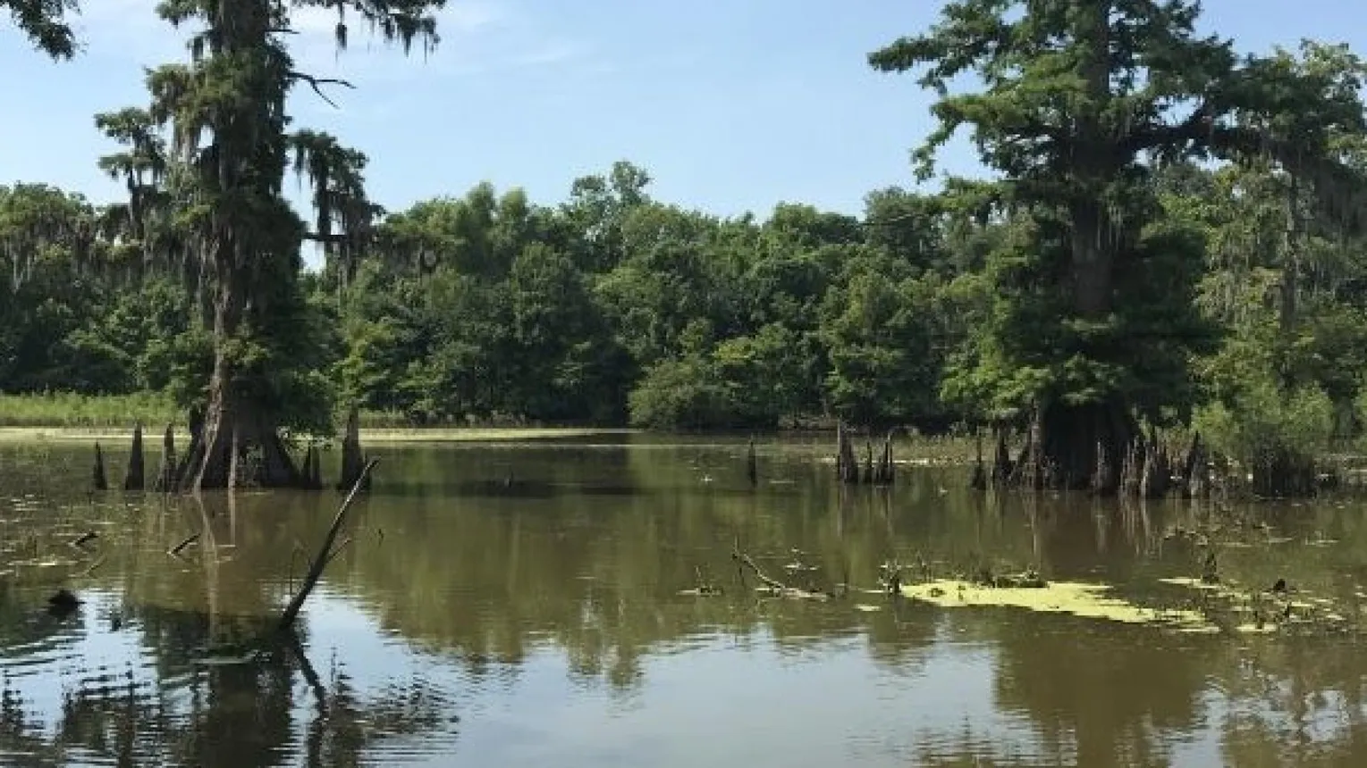 A lake in Louisiana