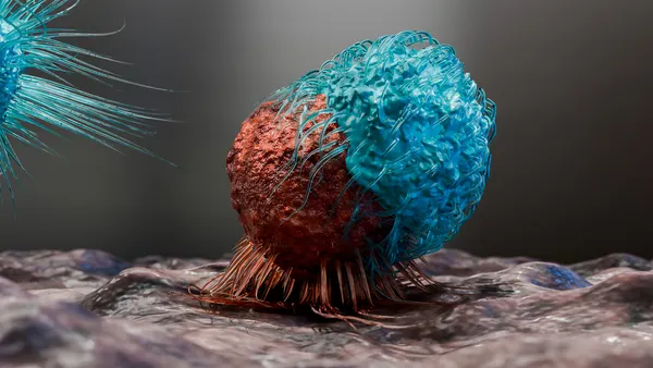 CAR-T cell therapy uses the body as a manufacturing site to fight cancer