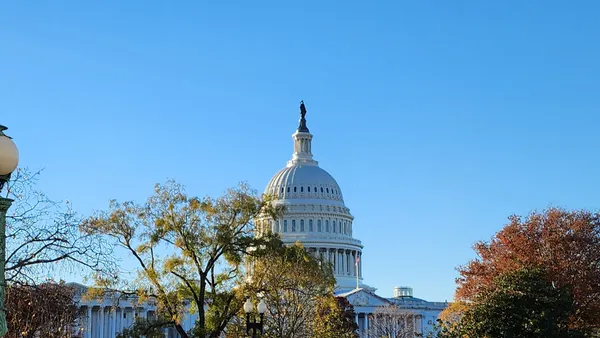 The Capitol Building in the background, with trees in front of it.