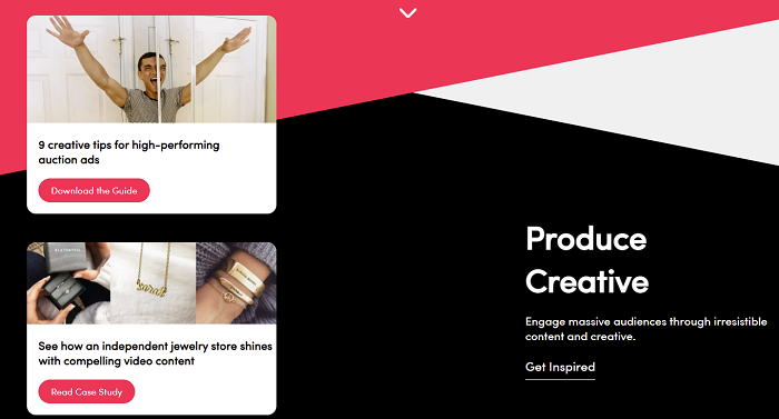 TikTok business help platform