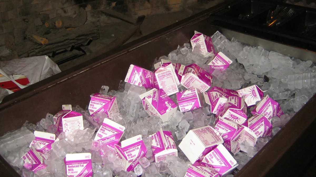 Purple and white half-pint cartons of milk in a cooler with ice.