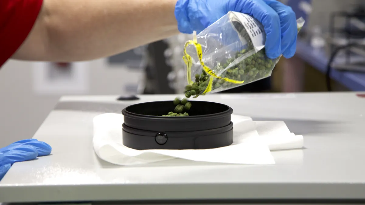 A person wearing a latex blue glove pouring a small clear bag of pet food into a black container.