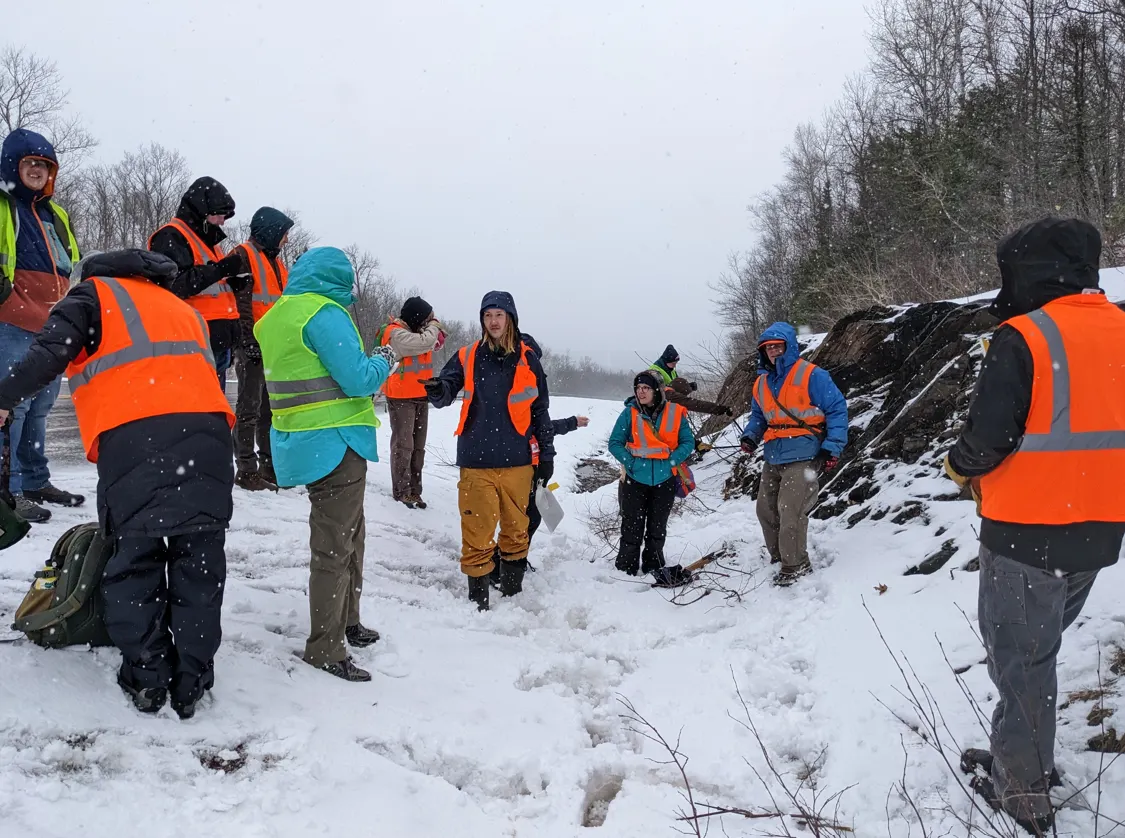 Students in snow gear and orange reflector vests standing in a clearing with woods to either side.