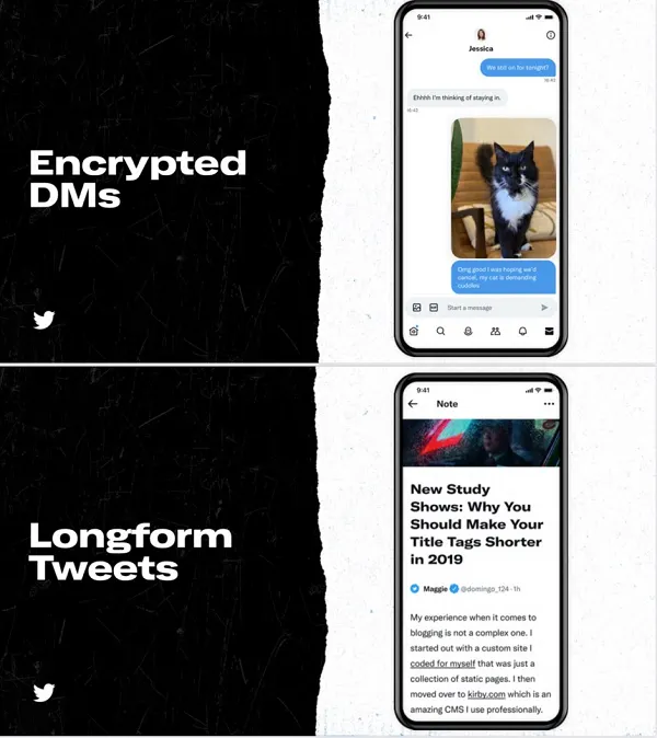 Elon Musk Twitter Plan