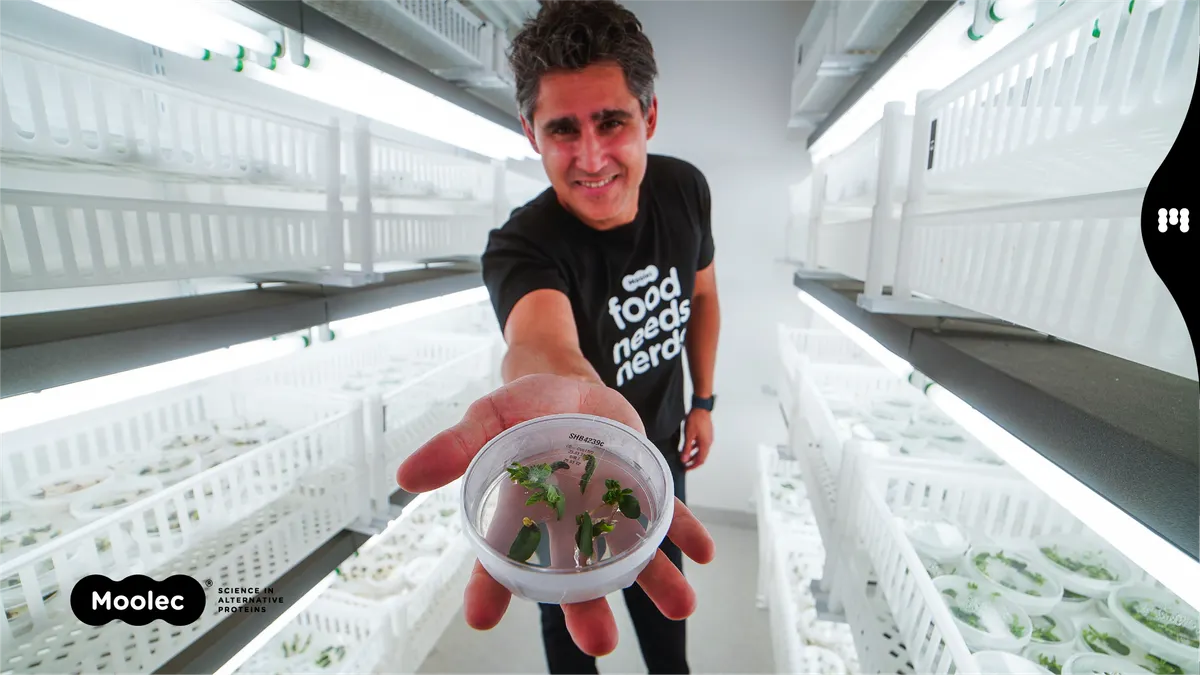 Gaston Paladini holds a round dish with small plants in his hand in a room with shelves of similar small plants.