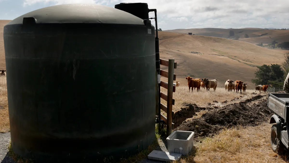 Cattle graze near a water tank.