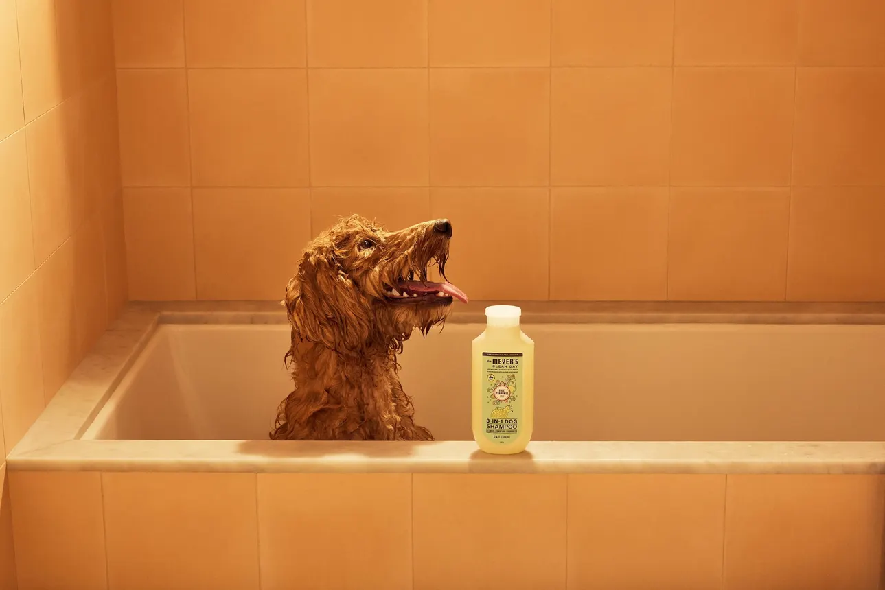 A dog in a bathtub with a bottle of Mrs. Meyer's Clean Day pet shampoo on the ledge