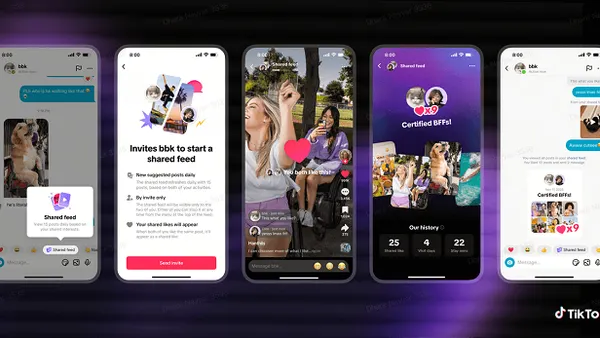 TikTok Shared Collections