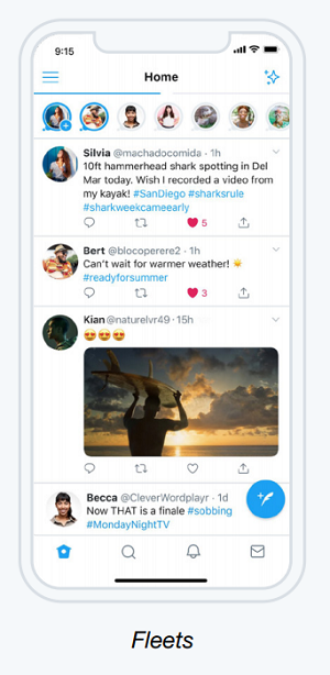 Twitter Fleets