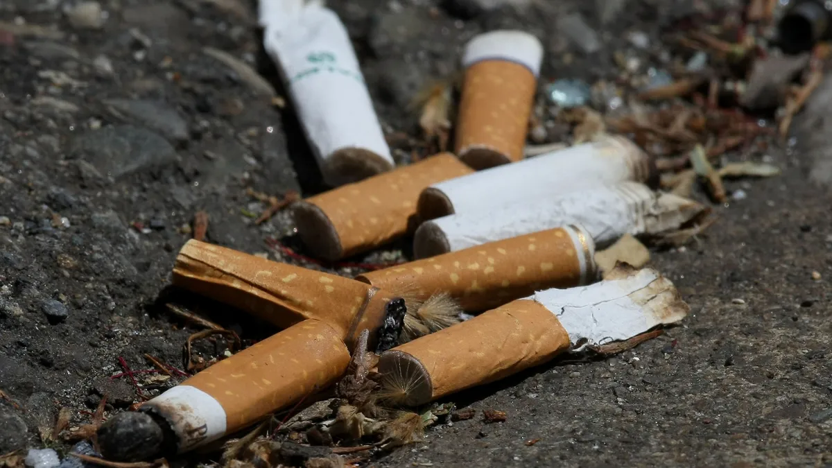 a close-up of cigarette butts on a sidewalk