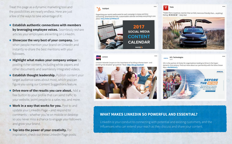 LinkedIn social media management guide example