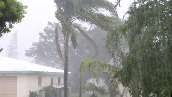 Storm on a house and a palm tree.