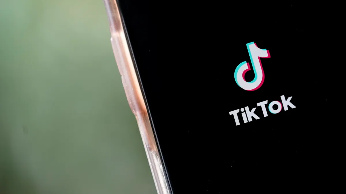 TikTok app