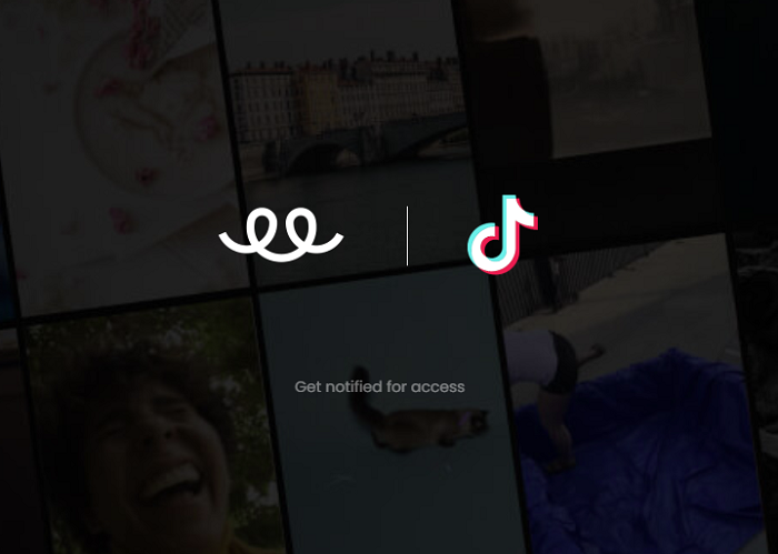 TikTok Teespring