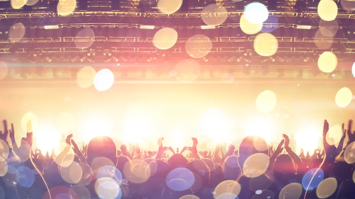 Music festival crowd
